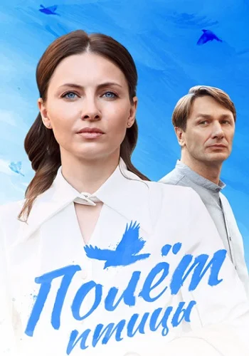 Полёт птицы